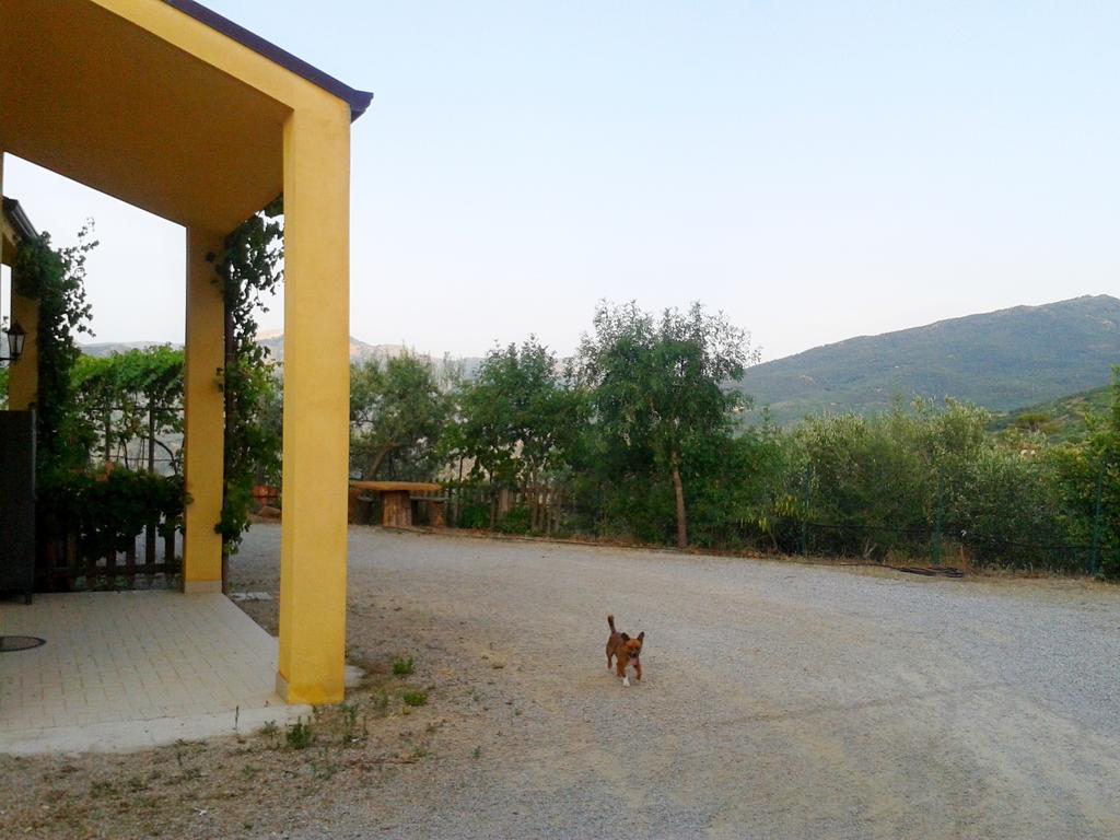 كاستلبونو Villaggio Dei Balocchi المظهر الخارجي الصورة